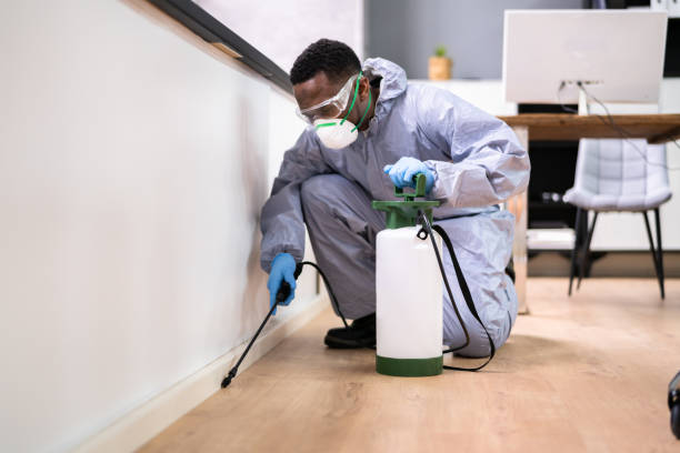 Emergency Pest Control Services in Milton, FL